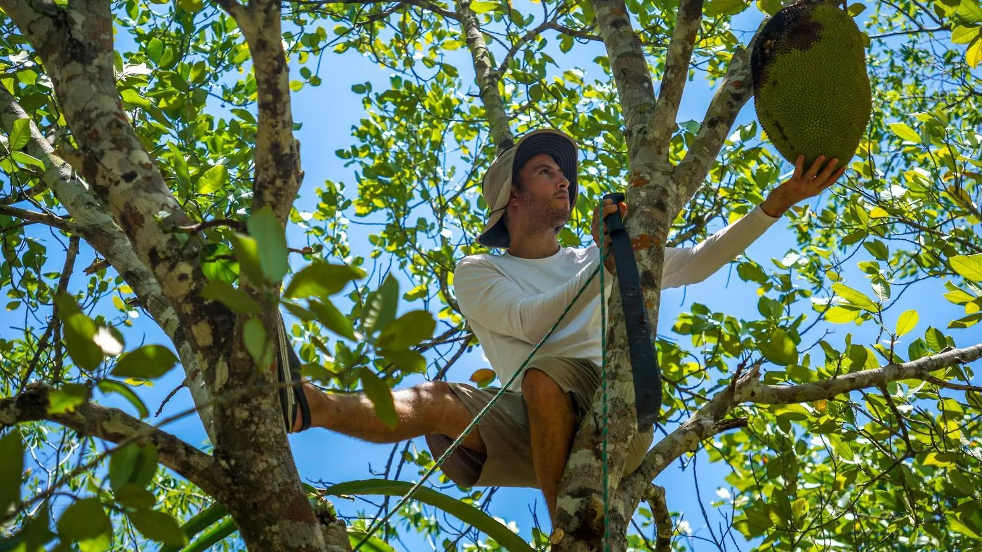 Dome @Jackfruit Jungle Paradise Chiquila Campsite